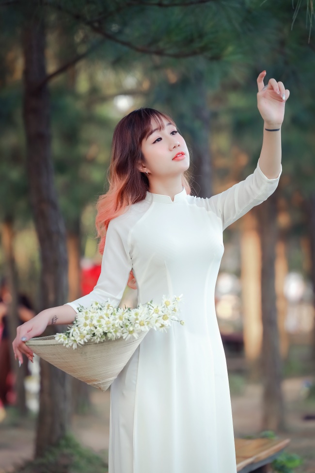 鲸梦热门5